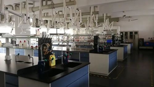 食品工程技術(shù)咨詢 推動食品安全與創(chuàng)新的關(guān)鍵角色