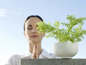 媒體曝光致明德產品創行業先河，引領中醫養生保健服務新潮流